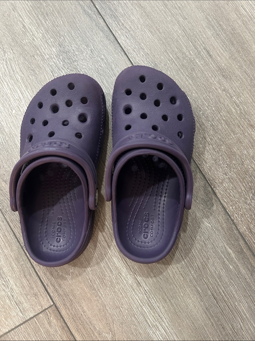 CROCS Kids Classic Clog in Deep Purple